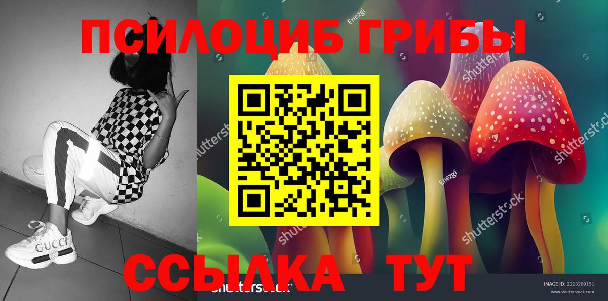 Галлюциногенные грибы MAGIC MUSHROOMS  Вход с VPN  Псилоцибиновые грибы Cubensis  Волоколамск 